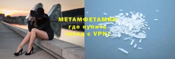 прущие грибы Бородино
