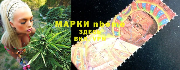прущие грибы Бородино