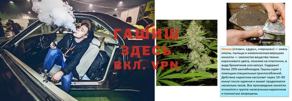 прущие грибы Бородино