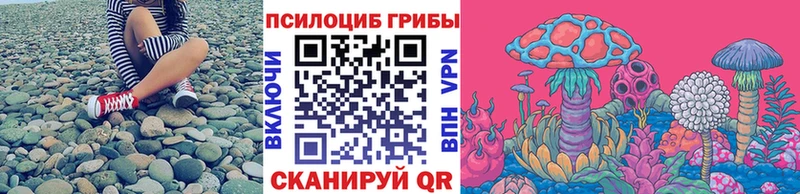 blacksprut маркетплейс Тосно Псилоцибиновые грибы прущие грибы