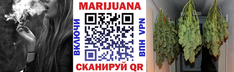 Шишки марихуана конопля Тосно